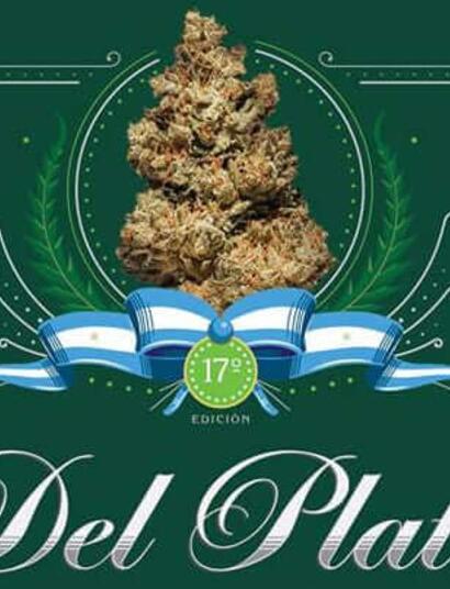 Llega la Copa del Plata 2018