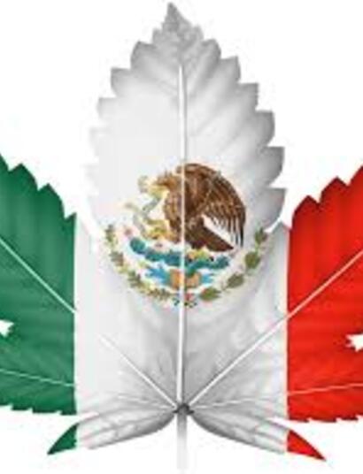 Corte de México pide regular el cannabis al Congreso