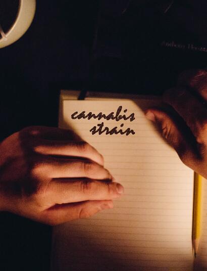 Escribe un diario íntimo sobre tu marihuana