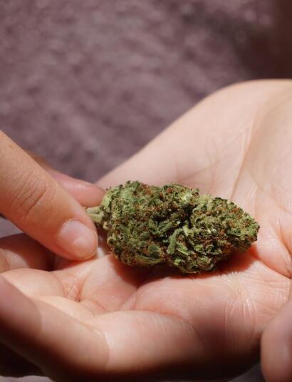 what is the difference between regular and medicinal cannabis