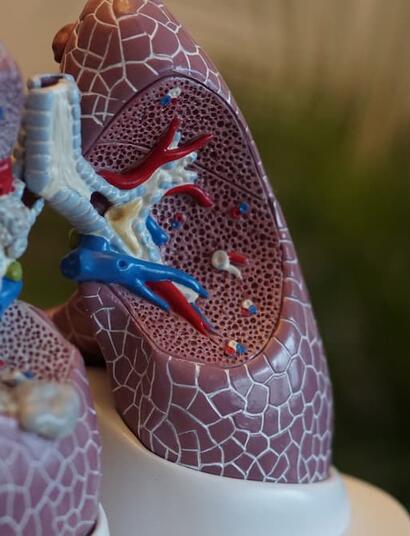 Explore the relationship between cannabis smoke and respiratory health. Learn about bronchial effects, symptom management, and evidence-based findings.