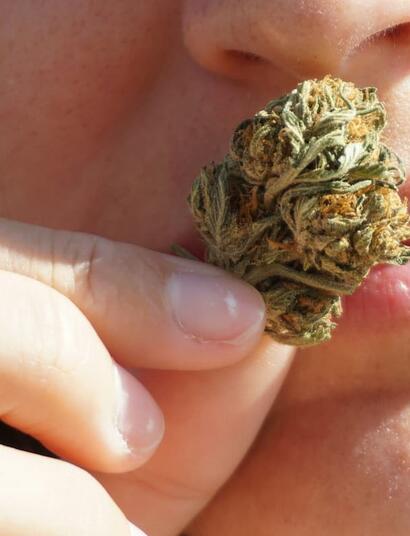 Discover how biological sex and estrogen impact THC sensitivity, tolerance, munchies, and pain relief. Here is how cannabis affects men and women differently.