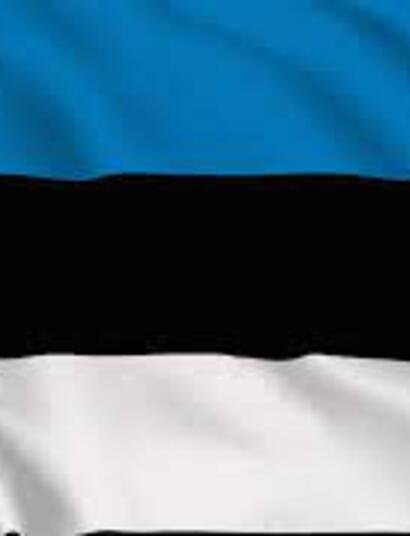 La bandiera dell'Estonia