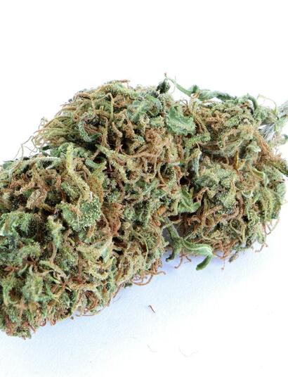 The Importance of Drying and Curing