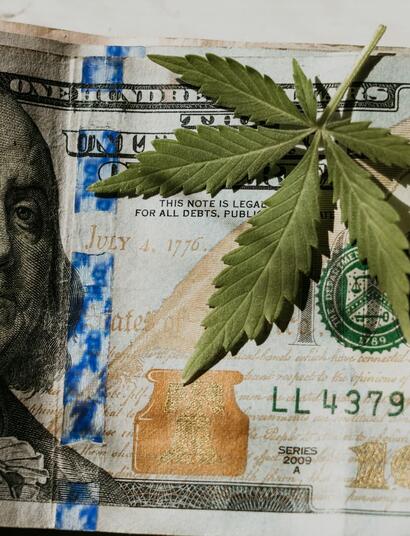 Predicciones-del-mercado-del-cannabis-para-2024