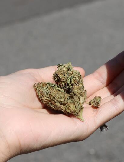 El-cannabis-y-la-soberanía