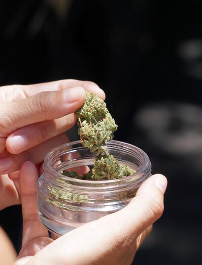 Congelare cannabis è una buona idea per la conservazione?