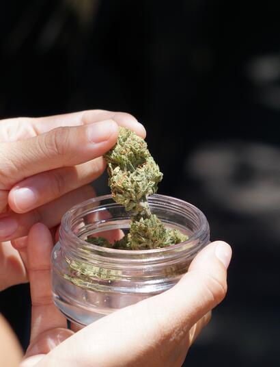 Grazie a Elsa Olofsson di Unsplash per la foto