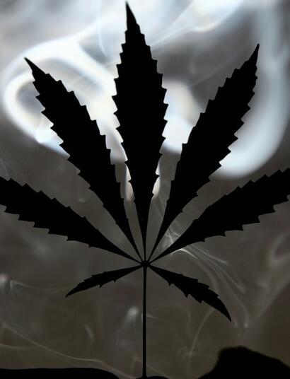 Endocannabinoides: ¿Por qué el cannabis tiene efecto?