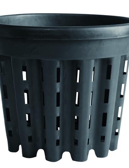 Ercole pot