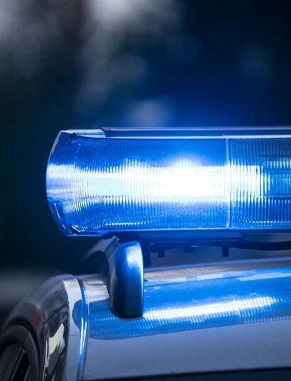 Essex Police Seize 1,100 Cannabis Plants in Farm Raid