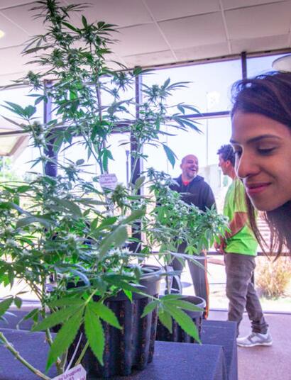 Se enciende la Expocannabis Uruguay 2020