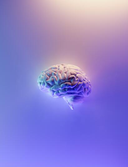 mind