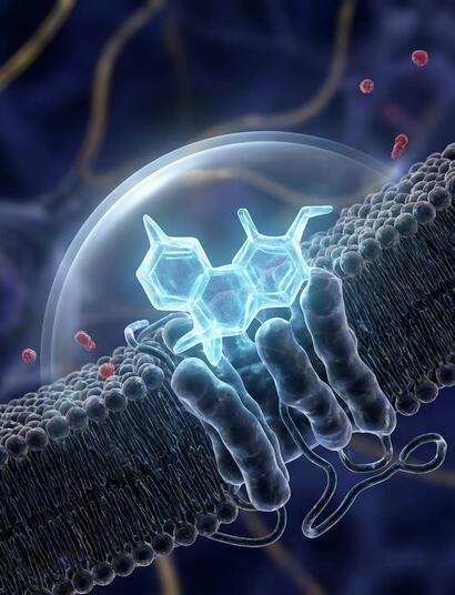 Representación 3D de alta precisión de una molécula de THCV (azul) actuando como un antagonista neutro en el receptor CB1, bloqueando señales externas sin alterar la actividad basal de la célula, según el estudio de Roger Pertwee.