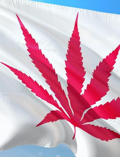 five signs the Canadian legal cannabis market is struggling