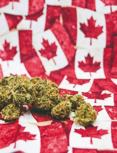 Focus: Canada e legalizzazione della cannabis