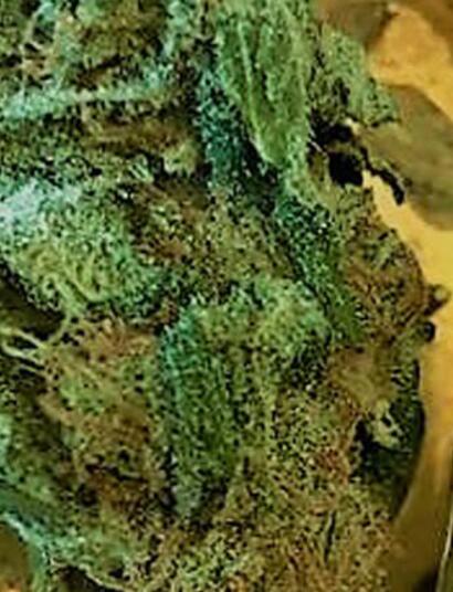 Dime qué papel usas y te diré quién eres