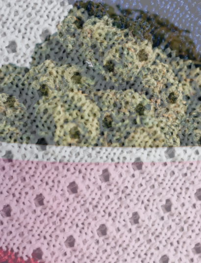 France authorizes medical cannabis.