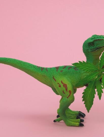 From Names to Odd Research: 15 Things Bizarre About Marijuana