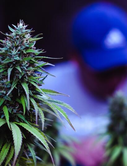 Cómo cuidar la vista de los focos LED y de sodio. Imagen de wirestock en Freepik.