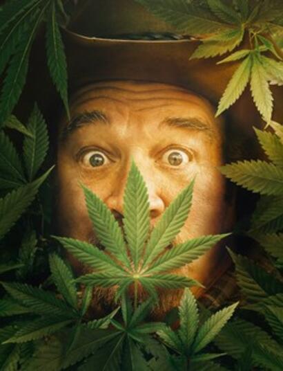 Buon compleanno a Jim Belushi: combatte con la cannabis l’epidemia di oppiacei