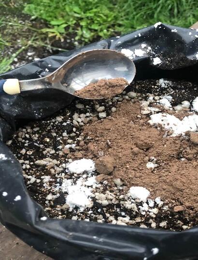 Guano de murciélago para marihuana