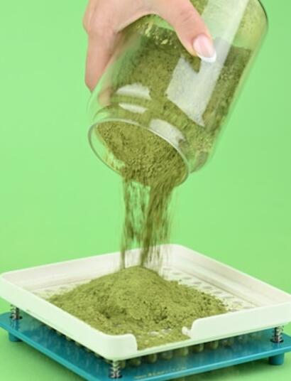 7 Plant-Based Remedies People Are Actually Using for Better Health in 2026