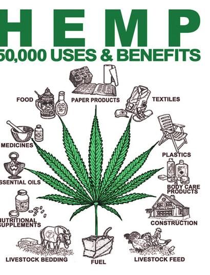 Hemp Design Factory in Oude Pekela