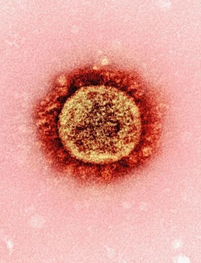 ¿Cuáles son las propiedades de la marihuana contra el herpes de labio?