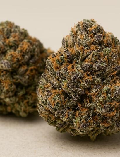 A close-up landscape photo of two Jelly Donutz high-THC cannabis buds resting on a smooth beige surface. The foreground bud is sharply detailed, showcasing vibrant green and deep purple hues coated in frosty trichomes, with bright orange pistils woven throughout. The second bud sits slightly blurred in the background, adding depth and highlighting the strain’s dense, sugary appearance.
