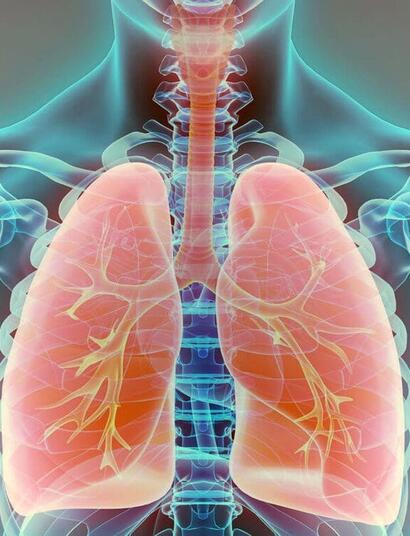  Can you keep your lungs healthy while smoking weed? Explore ways to reduce lung irritation, the science of cannabis smoke, and exercises to clear your lungs. 