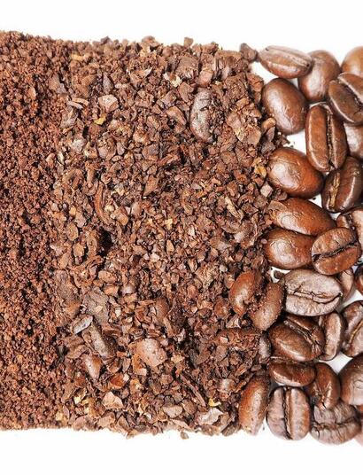 Explore how spent coffee grounds can boost your cannabis garden. Learn the benefits, safe usage methods and composting tips for organic soil enrichment.