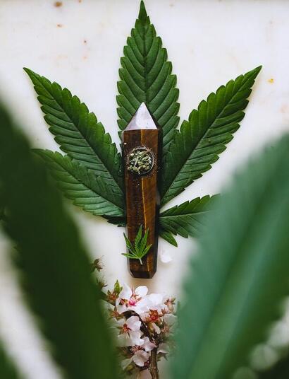 how do you get cannabis out of your system