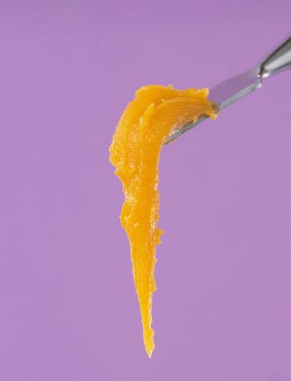 illustrative photo of sticky yellow cannabis extract on a dabber against a purple background. 