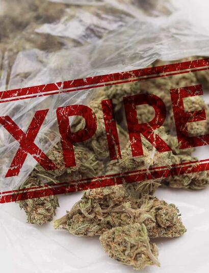 How Long Does it Take for Weed to Expire?