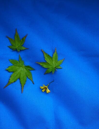 how to avoid cannabis dependency? 