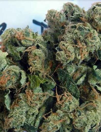 Get instructions for home cultivating sativa-dominant Sour Diesel cannabis. Find more about the strain, its effects, and essential grow tips for Sour D. 