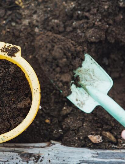 how to prepare worm castings organic fertilizer.