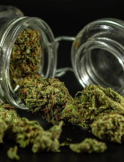 how to store your cannabis buds the right way?