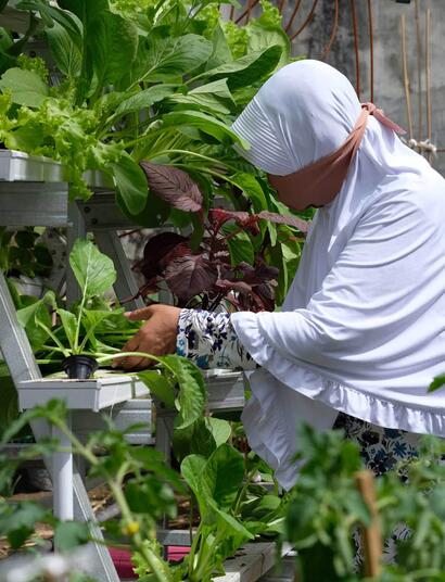 Unterschied zwischen normalem Anbau und Hydrokultur