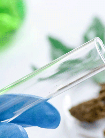 Hacia una mejor calidad de los productos cannabinoides