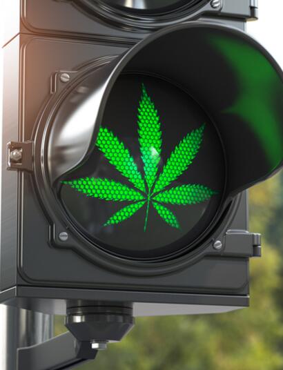 Cannabis Model