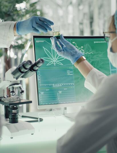 CBD Research in 2021