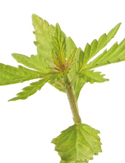 Haciendo de una compleja interacción algo sustentable