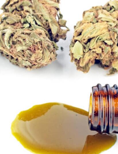 Epilepsia refractaria infantil y cannabis