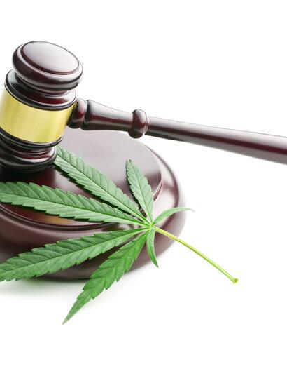 cannabis leaf on hammerblock