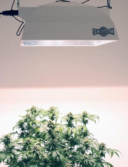 Costo eléctrico en la marihuana de interior: cómo calcularlo