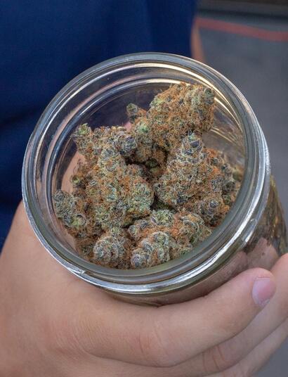 a doctor holding a jar with medical weed. 