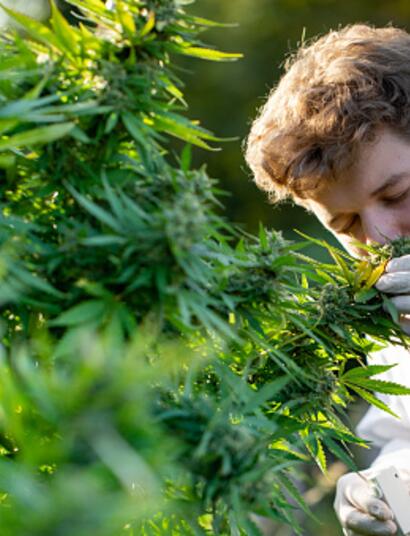 Natural fight against smell