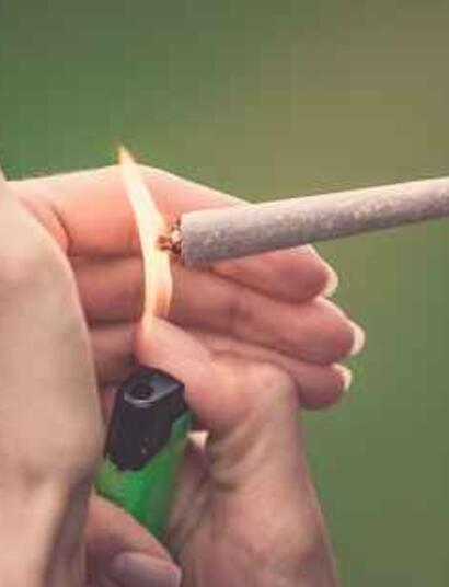 Pflanzenkunde: Cannabis im Stress (1)